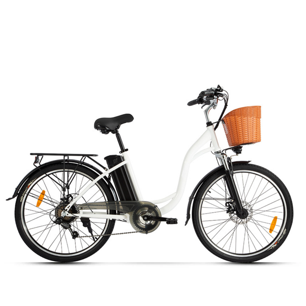 Electric bike 750w 48v sale