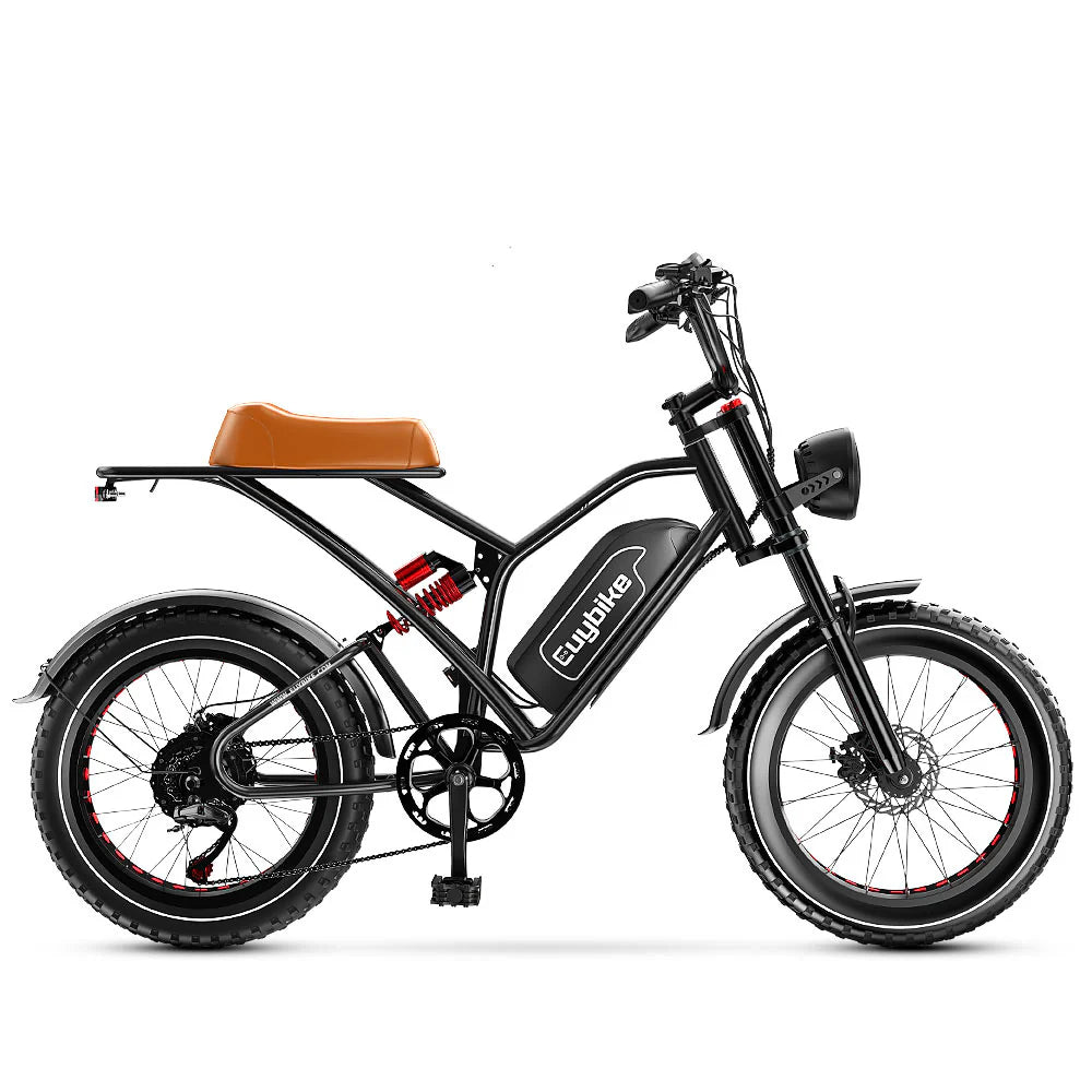 S4 ebike Long Range Moped-Style Electric Bike 1000W 48V 25AH