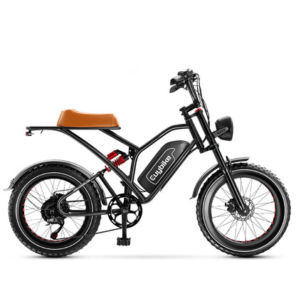 S4 ebike Long Range Moped-Style Electric Bike 1000W 48V 25AH