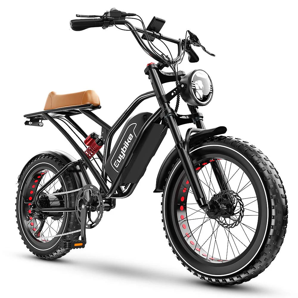 S4 ebike Long Range Moped-Style Electric Bike 1000W 48V 25AH